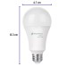 Lámpara de LED tipo bulbo A22 16 W, luz cálida, caja, Basic