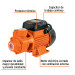Bomba periférica 3/4HP, altura máx 65m, uso agrícola, EXPERT